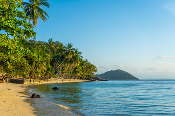 Coastline with sandy beach and palm trees on a tropical island