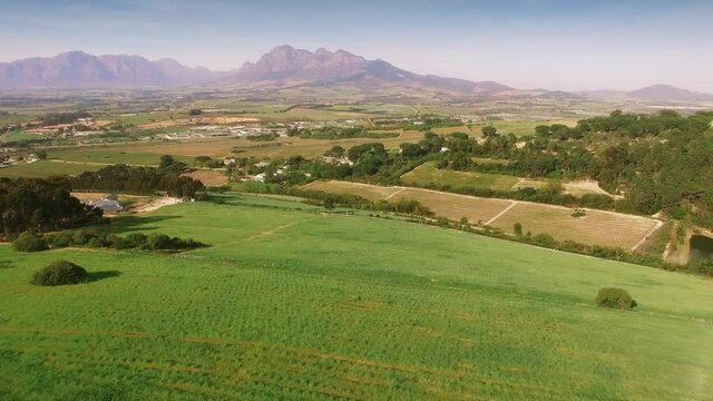 Country landscape and vineyards, Stellenbosch, South Africa