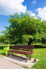 Obraz premium Landscape with a bench in a recreation park