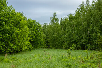 Natural landscape for relaxation and for your desktop background