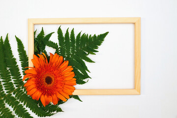 A romantic composition of gerbera flowers and fern leaves. Orange flower and photo frame on a white background.