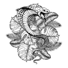 Cobra snake and palm leaves hand drawn illustration. Tattoo vintage print. Hand drawn print. Tattoo design. Sketch illustration. Tropical print.
