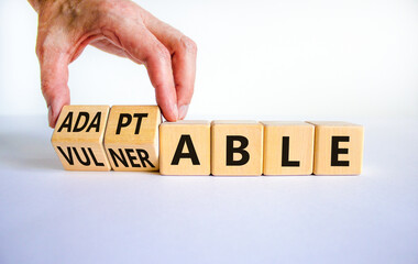 Vulnerable or adaptable symbol. Businessman turns wooden cubes and changes the word Vulnerable to Adaptable. Beautiful white background, copy space. Business and vulnerable or adaptable concept.