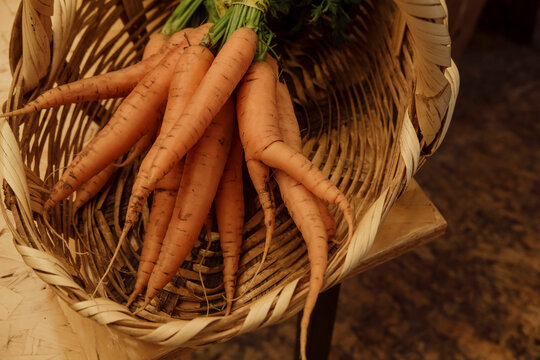 Bunch of fresh carrots inside of a market