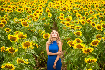 Fototapeta na wymiar A lovely girl in a blue dress stands against the background of a yellow field with sunflowers
