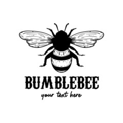 Bee logo icon design template bumblebee illustration design isolated Premium Vector 