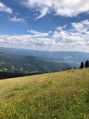 Panorama über den Bayrischen Wald