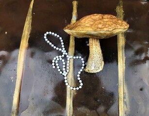 A large mushroom-podberezovik lies next to pearl beads on a wet brown and gold surface. 