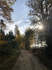 Obraz premium Sonnenschein im Herbst 