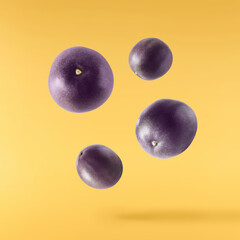 Fresh ripe passion fruit falling in the air