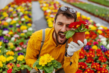 Smiling gardener crouching in greenhouse and making silly face with flowers. - obrazy, fototapety, plakaty