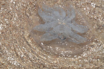 water, nature, texture, stone, sea, wave, rock, surface, closeup, ice, bubble, sand, wet, pattern, marble, brown, textured, grunge, liquid, bubbles, beach, splash, wall, backdrop, river
