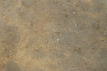 Heavy tropical rain on an island in Thailand. The road is under water