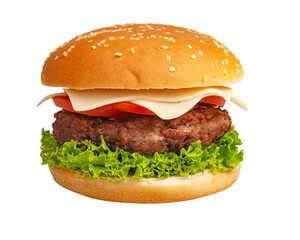One tasty burger with cheese isolated on the white background