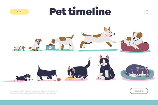 Pet timeline concept of landing page with cat and dog growth stages small kitten or puppy to adult