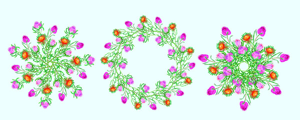 Proteus flower wreaths. Exotic floral wreaths. Vector illustration.