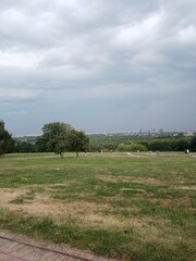 landscape with trees