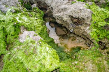 Detail of the coastline rocks in Cantabria, northern Spain