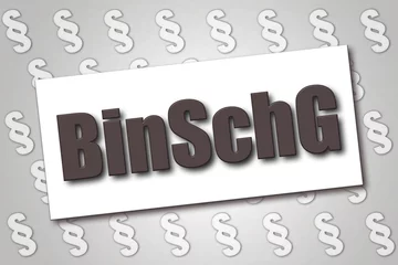 Deurstickers Deutsches Gesetz: BinSchG - Binnenschiffahrtsgesetz © lhphotos