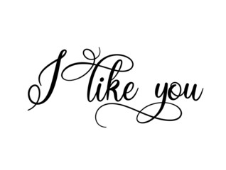 I like you . Inspirational quote about happiness. Modern calligraphy phrase with hand drawn