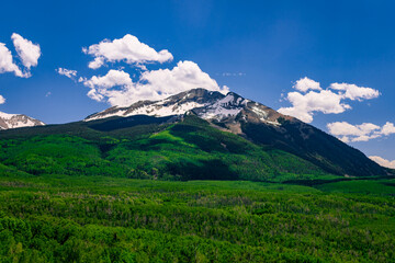 Naklejka premium landscape with sky