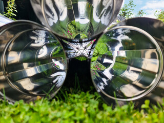 Fototapety na wymiar - Fototapeta24.pl