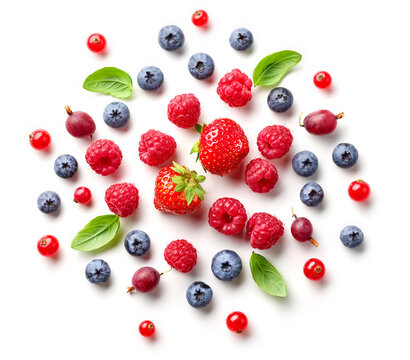composition of fresh berries and green leaves