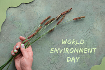 World Environment Day on June 5. Hand holding wild plantain, goose grass flowers on abstract grunge green background with wood and abstract paper shapes. Flat lay, top view, natural background.