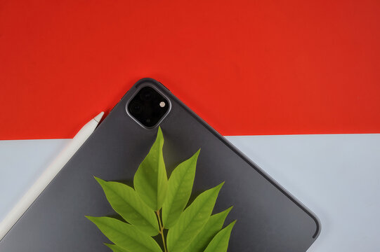 Gadget, digital camera, tablets and keyboard top down view with red and white background and decorative plant