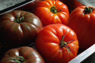 Close up of red and black oxheart tomatoes in a stainless steel bowl. Beefsteak tomatoes.