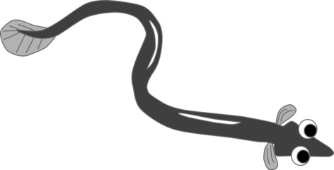 夏バテを解消する栄養満点のウナギ