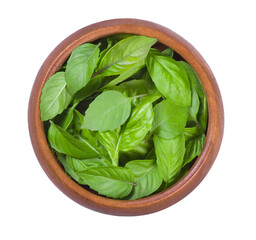 Fresh basil leaves in a wooden bowl isolated on white background. Top view.