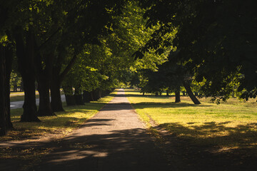 Obraz premium Beautiful green street looking as a trees tunnel in Uzvaras Victory Park from Riga, the capital city of Latvia, famous European baltic country