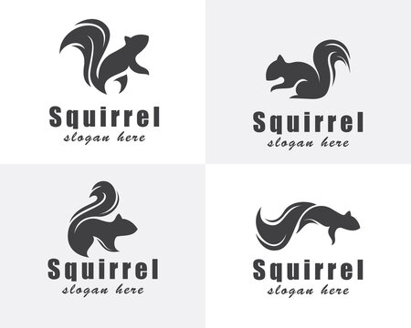 squirrel logo creative set black vector design template