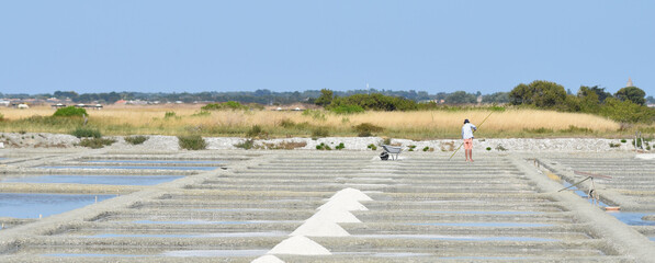 French Salt Marshes (Marais salants, France)	