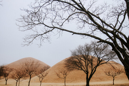 Daereungwon Ancient Tombs on Gyeongju, South Korea.