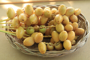 ripe yellow dates are organically grown, sweet and delicious and fresh in a woven basket on a blue and white background with the hands of a man holding them.