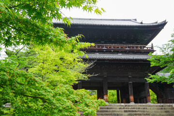 京都 新緑の季節の南禅寺