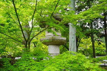 京都 新緑の季節の南禅寺の灯籠