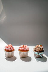 Cupcakes on a white sunny background with a shadow.