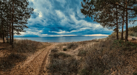 beach and trees