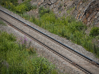 Railway track with green plants along both side.