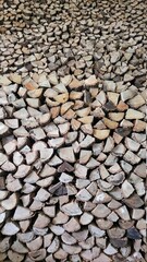firewood

