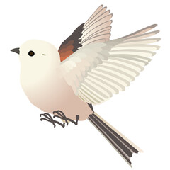 かわいい野鳥シマエナガのはばたく ベクターイラスト 