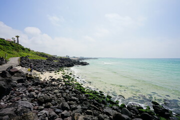 a beautiful seaside landscape with a walkway