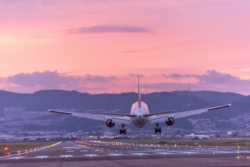 ピンク色に焼けた夕焼けを背景に着陸する旅客機の後ろ姿