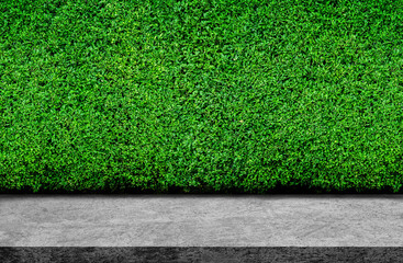 Side view of Concrete footpath or walkway with green bush in background.