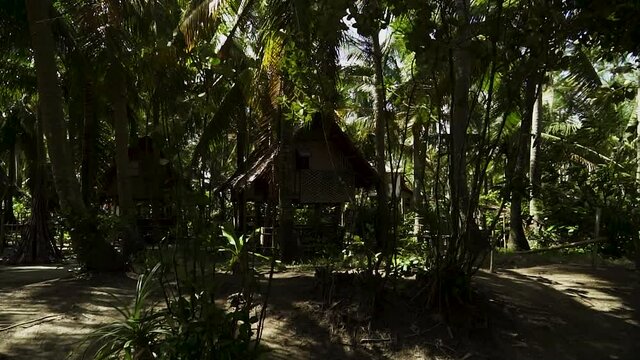 A Traditional Filipino House "Bahay Kubo" in the Jungle Gimbal Push-In