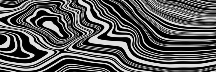 3D topographic contour. Black and white terrain.
