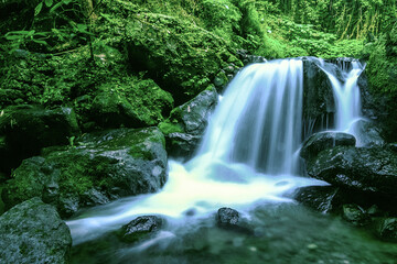 waterfall in the forest